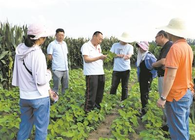 【图文】架起乡村振兴人才培养立交桥