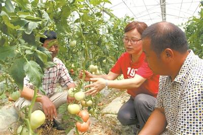 【图文】架起乡村振兴人才培养立交桥