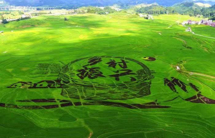 【图文】《中华人民共和国乡村振兴促进法》全文