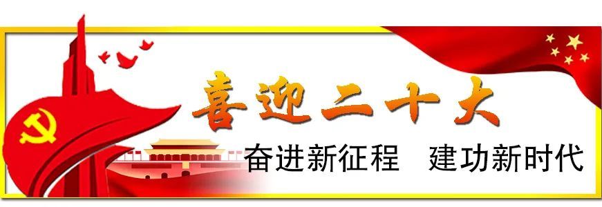 用使命与担当守护生命和健康——记西安国际港务区卫生健康志愿者服务队